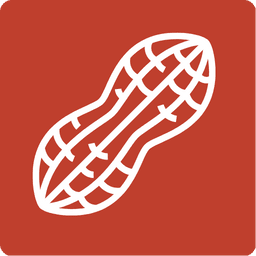 groundnut icon
